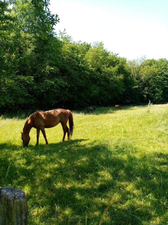 Gite De La Noyelle A Sainghin En Melantois Bagian luar foto
